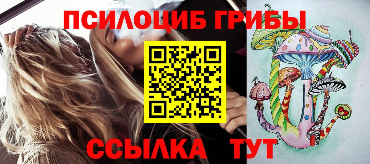 Псилоцибиновые грибы Cubensis  Галлюциногенные грибы мицелий  Вход с VPN  Приморско-Ахтарск 